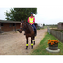 products/Tabard_-_Horse_riding_yellow_with_leg_bands.png