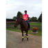 products/Tabard_-_horse_pink_with_legbands_1.png